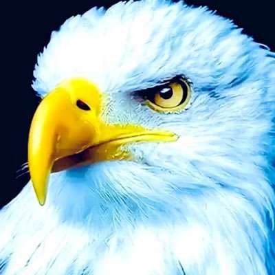rdequalizer's profile picture. 