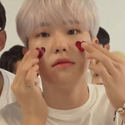 littlelaohuu's profile picture. #호시 #원우 (@littlehaitun @littlepengguu)