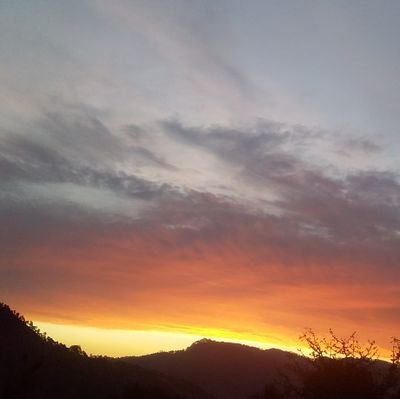 vish_rawt's profile picture. I'm lost