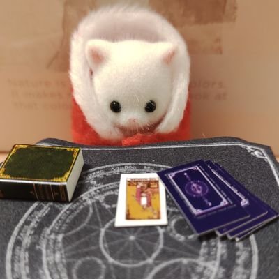 nekonekouranai's profile picture. 占いと心について学んでいます🔯まゆちん先生のタロットに出会い、依存させない健全な占い師(心のプロ)を目指しています✨占い業界の健全化に貢献したい✨タロット、星読み、四柱推命、手相🌞牡羊🐏直感とワクワクに対する行動早め多めです🌟