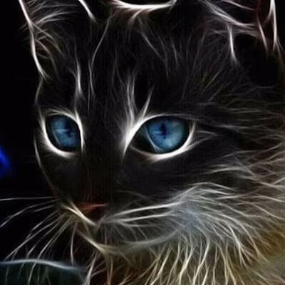 Cautelosa como un gato
