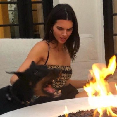 wttfthai's profile picture. 