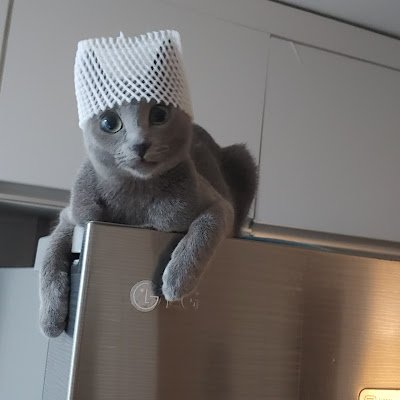 dubidubabap's profile picture. 
