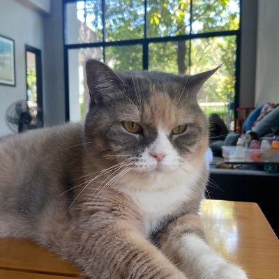 AlmondRun's profile picture. ชอบวิ่งมาราธอน ชอบเพลงเก่าๆ และเกมมาริโอ้👟🌈🍄