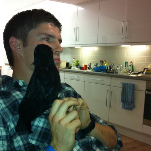 Michael Whelan Profile