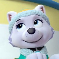 🏔Everest🏔 (@everestwhitepup) 's Twitter Profile