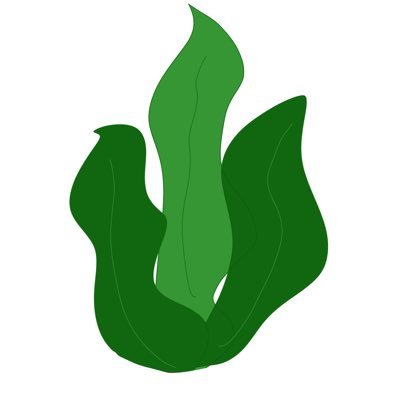 若布のプロフカード