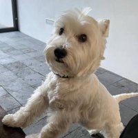 ゆき (@yukisan_0725) 's Twitter Profile