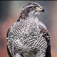 imrandawar (@sohrabk05127837) 's Twitter Profile