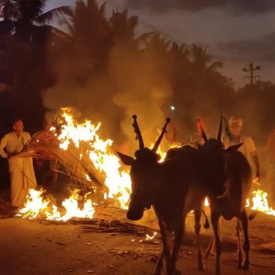 DrChetanKumarGK's profile picture. Veterinarian, ಕನ್ನಡಿಗ,