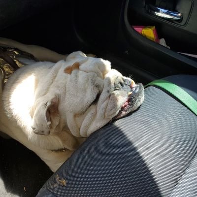 Jb95621's profile picture. Dont let no one get you down!