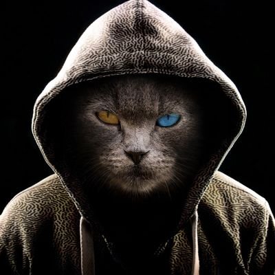 twitt_yann's profile picture. 