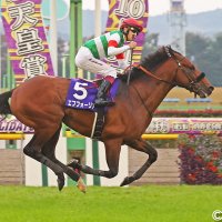 エフフォーリア (@hd6msm04ojecxw) 's Twitter Profile