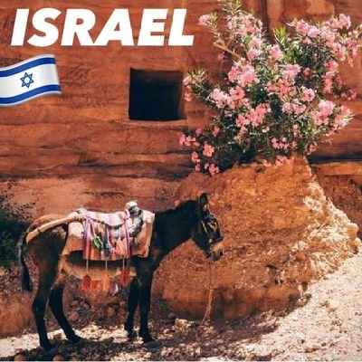 suelyschuab's profile picture. professora aposentada, mãe, conservadora, apaixonada por artesanato