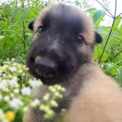 💐🐴💖さんのプロフィール画像