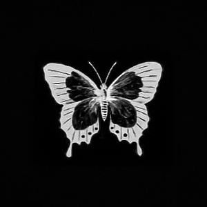 lacew1ng's profile picture. 『✦』