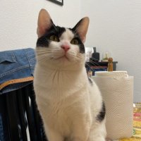 Arlecq (@arlecq) 's Twitter Profile Photo Arlecq (@arlecq) 's Twitter Profile Photo