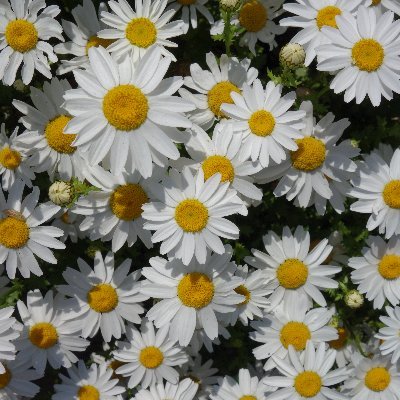 iiiinonono's profile picture. こちらは機材ネタ・楽器ネタがメイン。
鍵がかかっている時は投稿テスト中