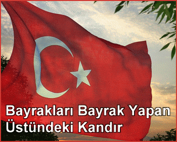 emel apayd�n (@emel_apaydn) | Twitter