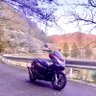 NIVO_0516's profile picture. 