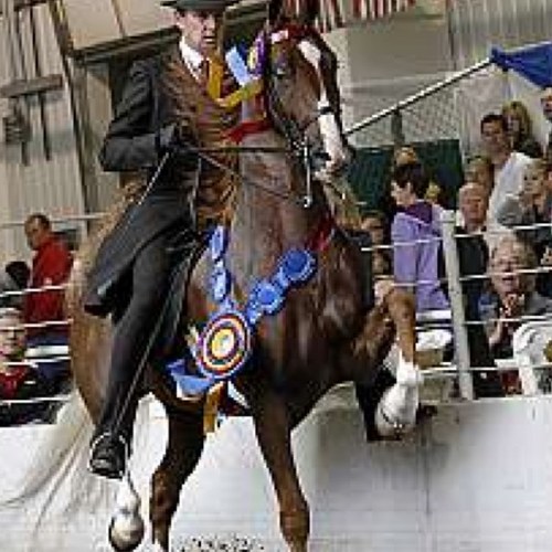 toddmiles416's profile picture. 