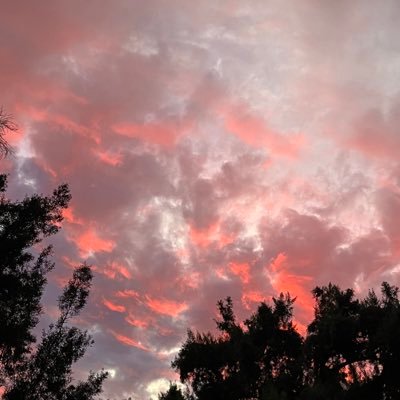 Lucasbill22's profile picture. 