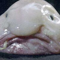 Nick Dorman (@nickdorman1) 's Twitter Profile