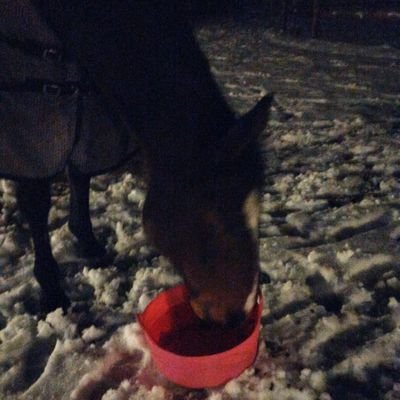 AkpoviriKelvin's profile picture. Amazing Grace