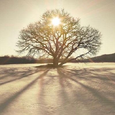 ioribb2's profile picture. BMSG #STARGLOW RUI ⚡️⚡️ you're my treasure