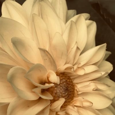 Dana002200's profile picture. ♥️🎶📸