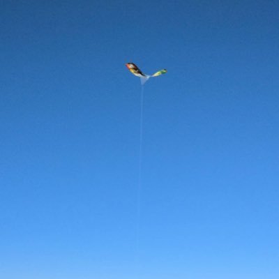 yu_yu_iiyudana's profile picture. 