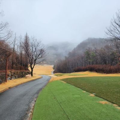 iwongug6's profile picture. 