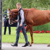 Jack Walsh (@19jack98) 's Twitter Profile Photo