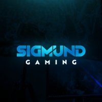 Sigmund Gaming(@SigmundGame) 's Twitter Profile Photo