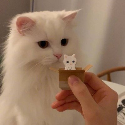 haukbdkj's profile picture. 