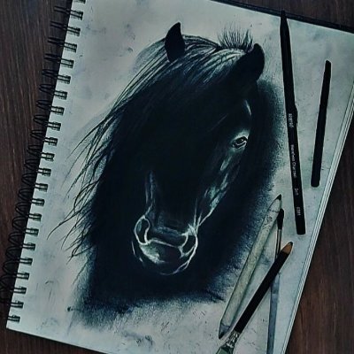 thesketchbook73's profile picture. this is my sketchbook
insta@thesketchbook_2609