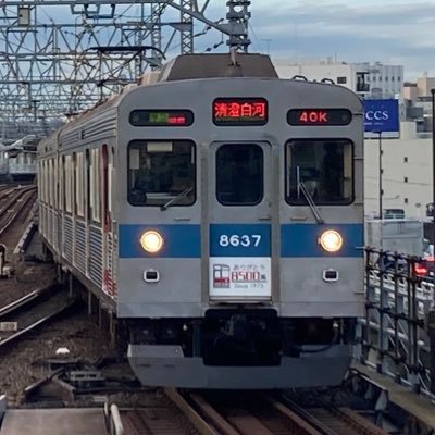 Tdqt85's profile picture. Arcaeaできません