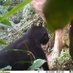 JUPROB-AFRIQUE BIOVERSITÉ (@juprobafrique) Twitter profile photo JUPROB-AFRIQUE BIOVERSITÉ (@juprobafrique) Twitter profile photo