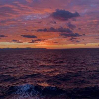 LilyyRosa26's profile picture. 🌟🤞🏻