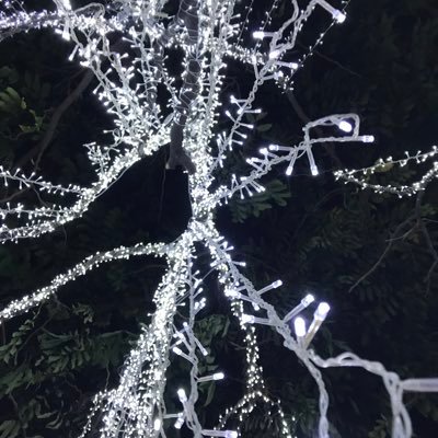 chakula_gg's profile picture. 