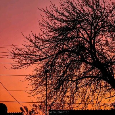 Zola44902128's profile picture. Book MY escapism... Brain charge....joyism....tranquilism...1st wifesm lol...