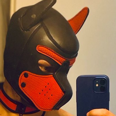 FR / EN Just a Bad Puppy ! Je veux du fun ! I want fun, NSFW🔞🐶😋 #puppy #puppyplay #gay #gaypuppy in relationship with a puppy & abdl puppy gay @leo_pleasures