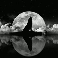 Lou (The Lone Wolf)(@TheLoneWolfSep) 's Twitter Profile Photo