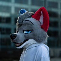 Hype 🐾 (@lhypewolf) 's Twitter Profile
