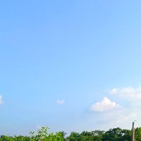 Moin (@moin33298883) 's Twitter Profile