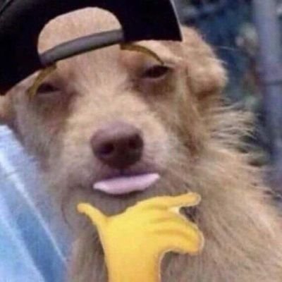 stanleyolo16's profile picture. 