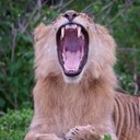 Shane Mackey - @ShaneMa91437238 - Twitter