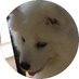 Haste (@hastexd) Twitter profile photo Haste (@hastexd) Twitter profile photo