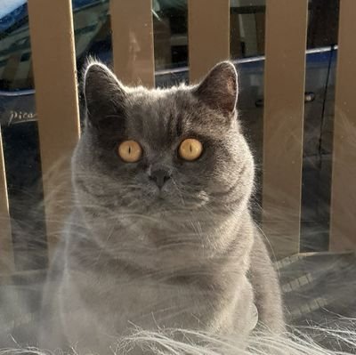 chrisandkaty3's profile picture. Every day is a good to be alive day.