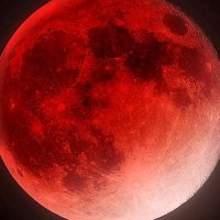 ✯θθllll∑χ✯🌸 (@8e815160656e4d4) 's Twitter Profile